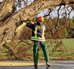 saw, fire fighters, chainsaw-5026104.jpg