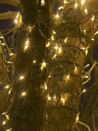 Putting up twinkly lights on tree trunk Putting up twinkly lights on tree trunk